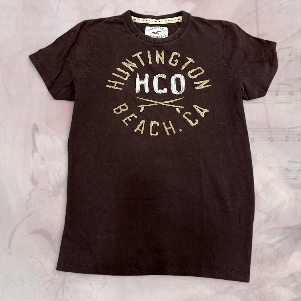 Hollister Brown Short Sleeve Tee